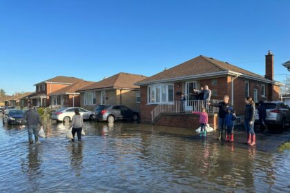 sinistres coûteux assureurs