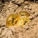 three Bitcoins on soil